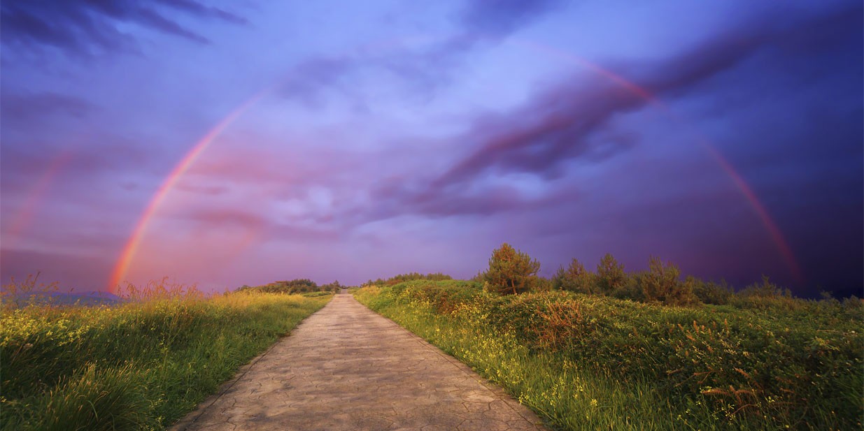 Career Coaching rainbow